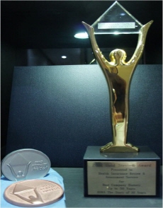 2012 Gold Stevie Award