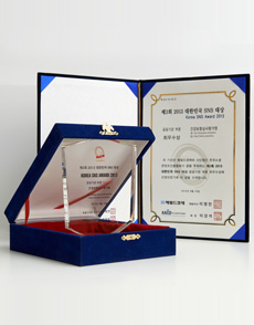 2013 대한민국 SNS 대상