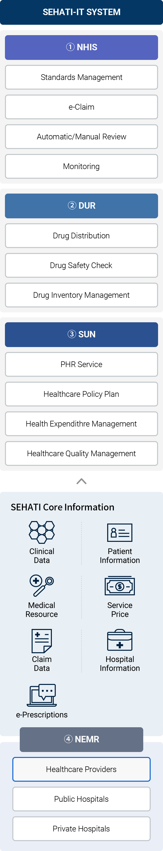 Bahrain SEHATI-IT System