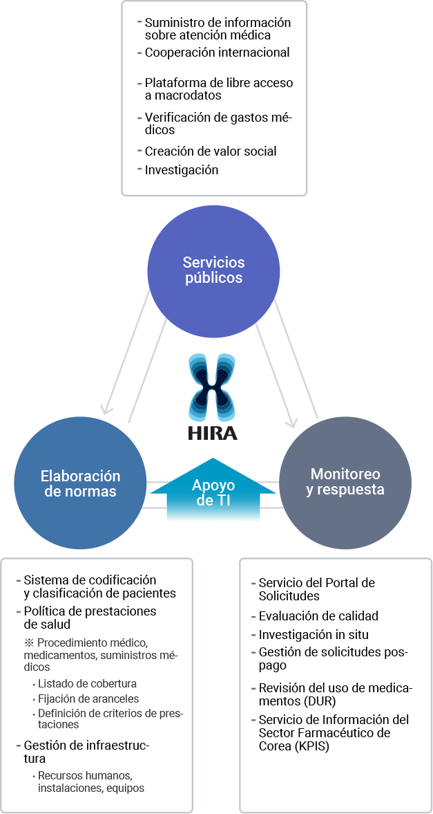 Main Activities