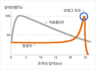 양성자 치료 그래프